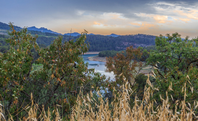 Обои картинки фото природа, реки, озера, река, лес