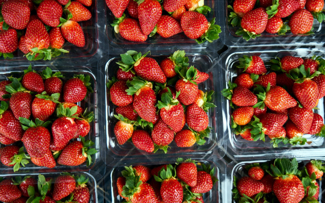 Обои картинки фото еда, клубника,  земляника, много, ягоды