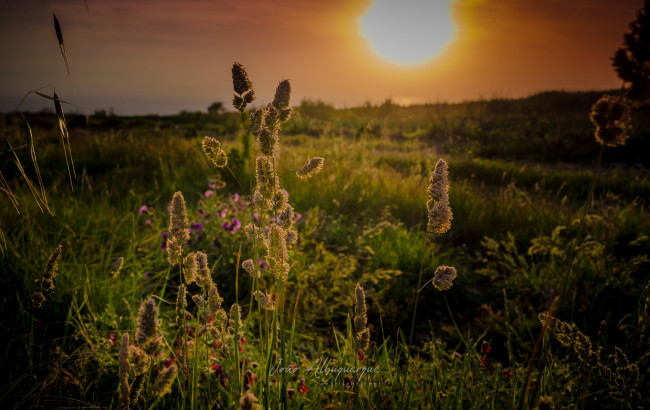 Обои картинки фото природа, восходы, закаты, рассвет