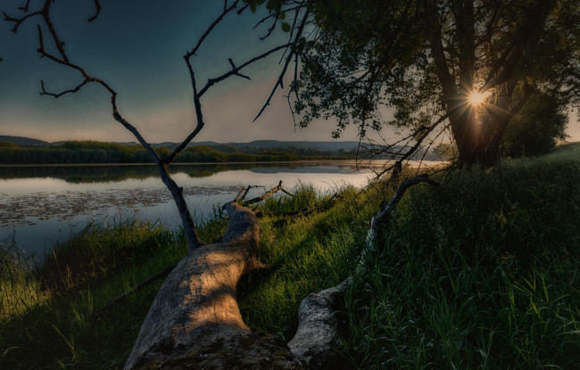 Обои картинки фото природа, реки, озера, лес, река