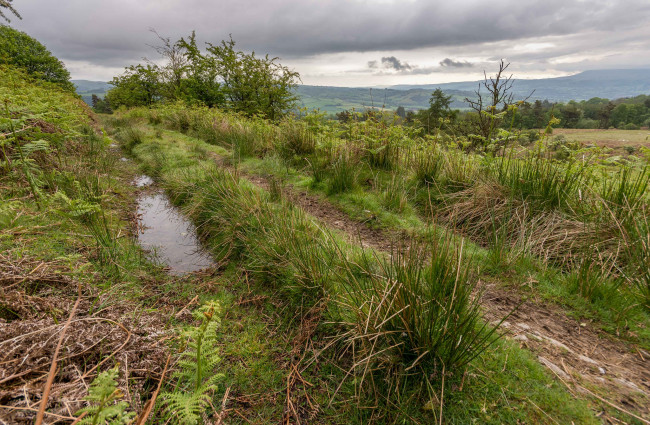 Обои картинки фото природа, дороги, тракт