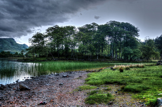 Обои картинки фото природа, реки, озера, река, лес