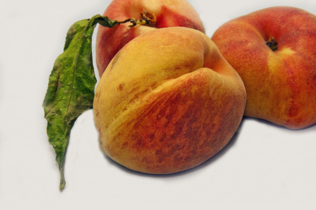 Обои картинки фото еда, персики,  сливы,  абрикосы