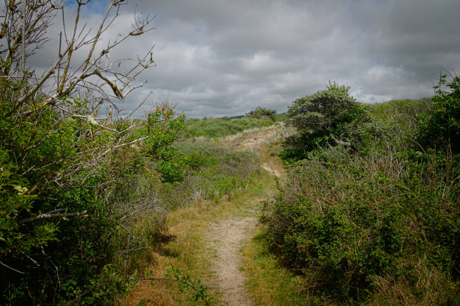 Обои картинки фото природа, дороги, тракт