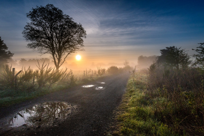 Обои картинки фото природа, дороги, тракт