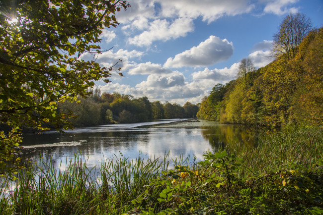 Обои картинки фото природа, реки, озера, лес, река