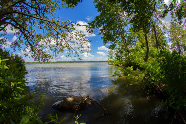 Обои картинки фото природа, реки, озера, река, лес