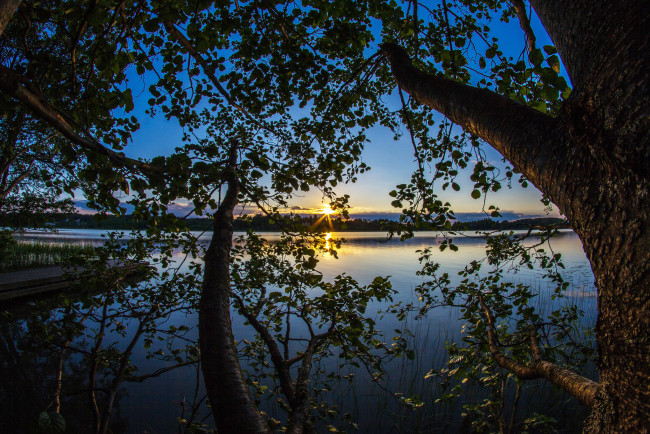 Обои картинки фото природа, реки, озера, река, лес