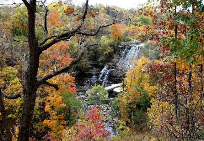 Обои картинки фото природа, вода, водопад, река, лес