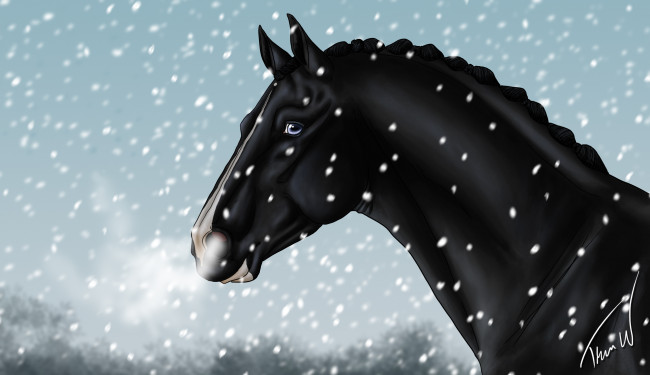 Обои картинки фото векторная графика, животные , animals, фон, лошадь