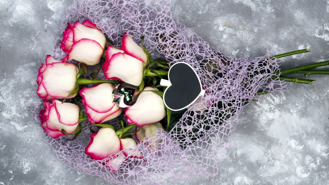 Обои картинки фото цветы, розы, бутоны