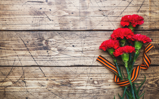 Обои картинки фото праздничные, день победы, гвоздики, 9, мая, лента