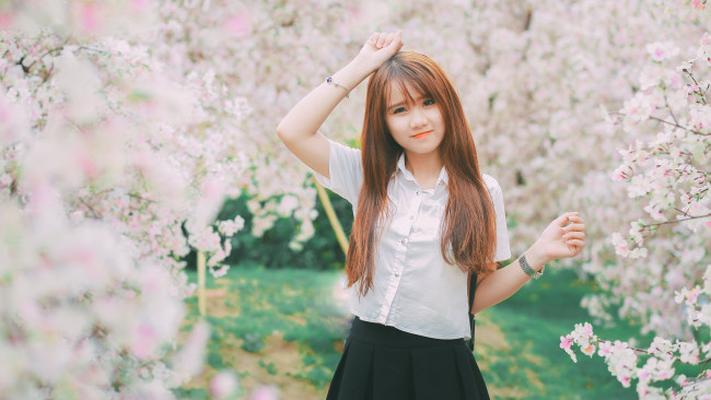 Обои картинки фото девушки, - азиатки, рыжая, рубашка, юбка, сад, сакура, цветение