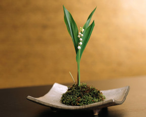 Картинка цветы ландыши