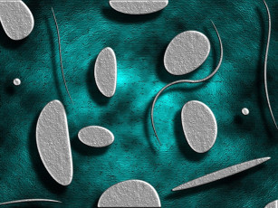 Картинка компьютеры desktop decor