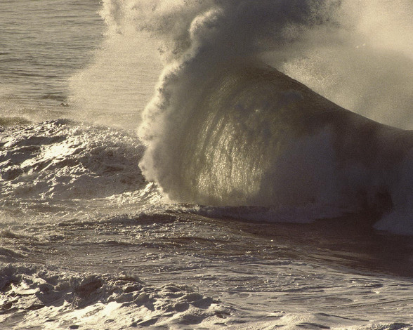 Обои картинки фото 