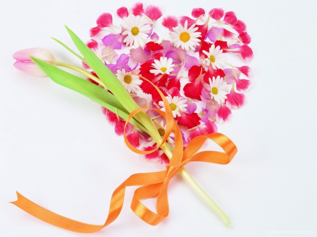 Обои картинки фото цветы, букеты, композиции