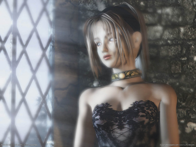 Обои картинки фото видео, игры, koudelka