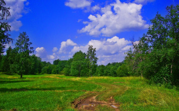 Картинка природа дороги