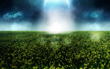 Картинка природа поля