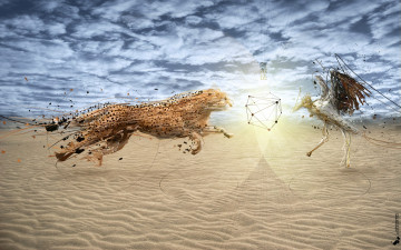 Картинка разное компьютерный дизайн