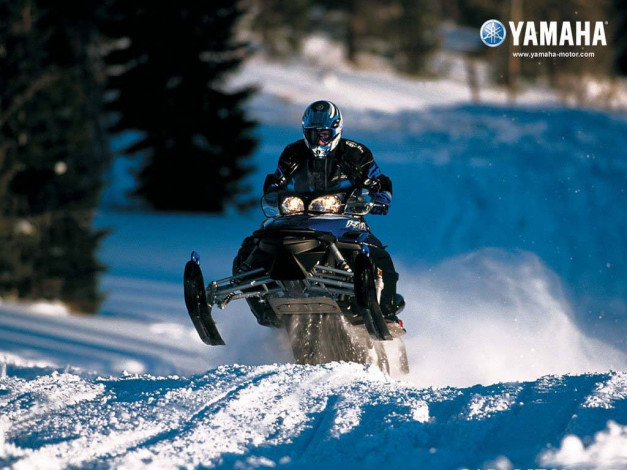 Обои картинки фото мотоциклы, снегоходы