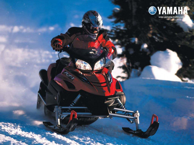 Обои картинки фото мотоциклы, снегоходы