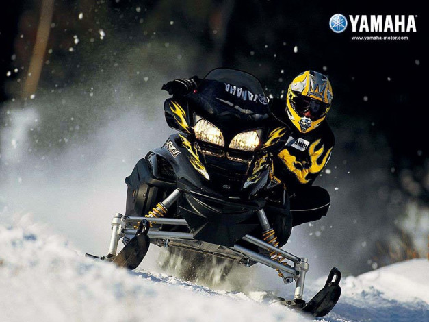 Обои картинки фото мотоциклы, снегоходы