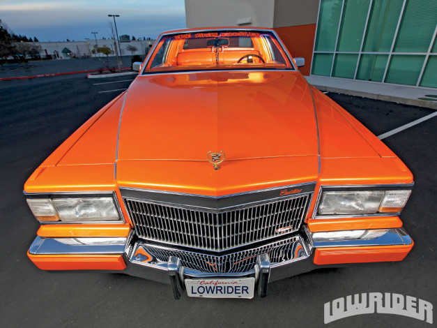 Обои картинки фото 1981, cadillac, fleetwood, brougham, автомобили