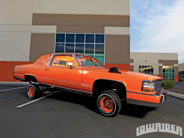 Обои картинки фото 1981, cadillac, fleetwood, brougham, автомобили