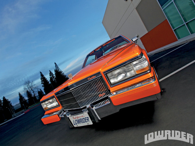 Обои картинки фото 1981, cadillac, fleetwood, brougham, автомобили