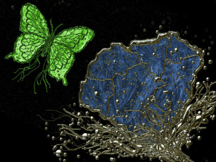 Картинка 3д графика animals животные цветок бабочка