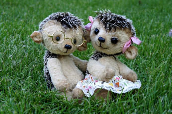 Картинка разное игрушки мягкие ёжики юбка милые очки