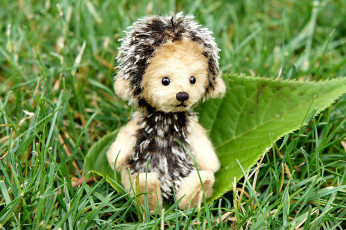 Картинка разное игрушки ёжик малыш листок