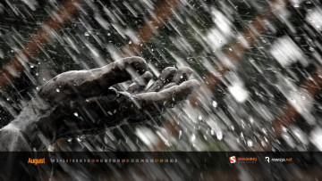 обоя календари, другое, август, рука, дождь