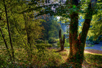 Картинка in the park природа парк дорожки деревья