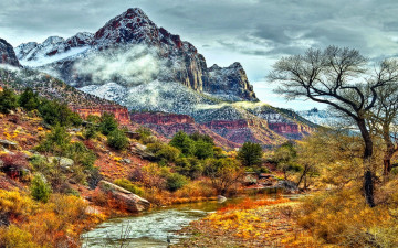 Картинка природа реки озера трава горы осень деревья река