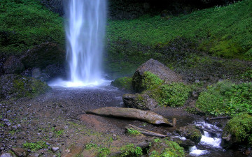 Картинка природа водопады водопад коряги трава
