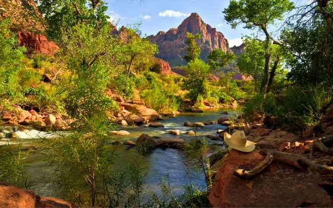 Обои картинки фото природа, реки, озера, река, лес, камни, шляпа, горы