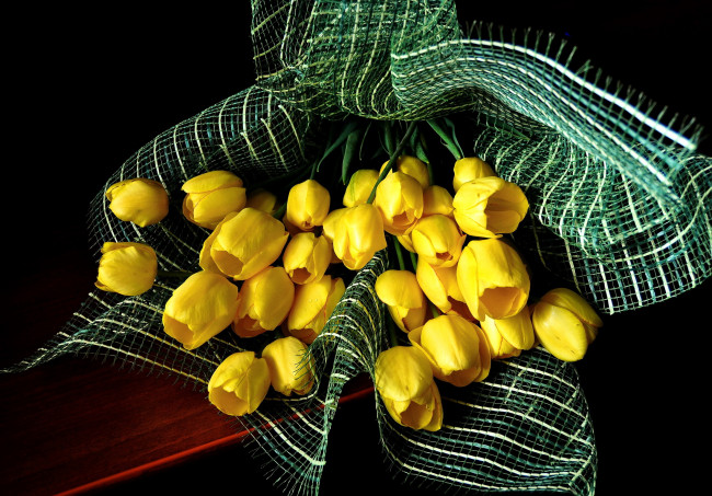 Обои картинки фото цветы, тюльпаны