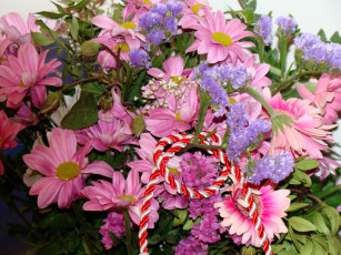 Картинка цветы букеты композиции герберы букет