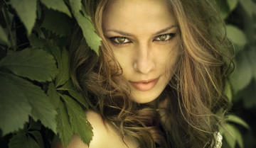 Картинка -Unsort+Лица+Портреты девушки unsort лица портреты взгляд