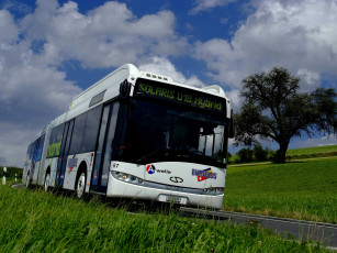 Картинка автомобили автобусы 12 cng urbino solaris