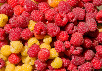 Картинка еда малина ягоды