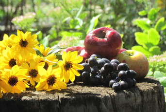 Картинка еда фрукты +ягоды виноград яблоки