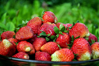 Картинка еда клубника +земляника ягоды