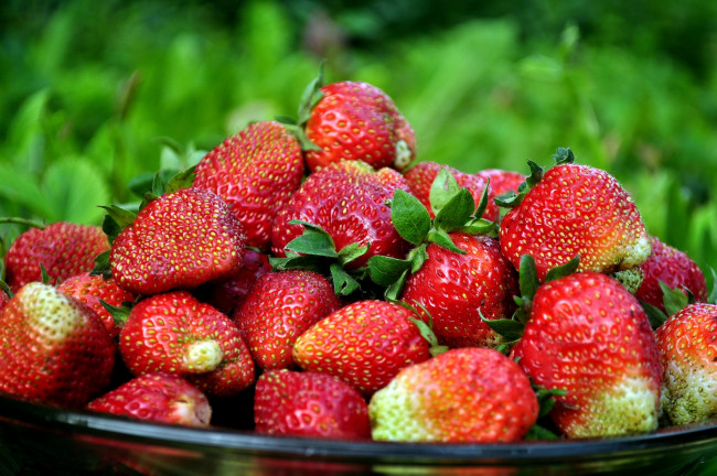 Обои картинки фото еда, клубника,  земляника, ягоды