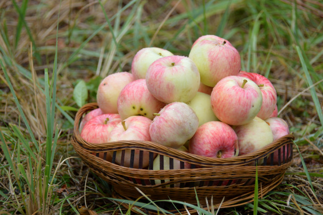 Обои картинки фото еда, Яблоки, розовый, корзина