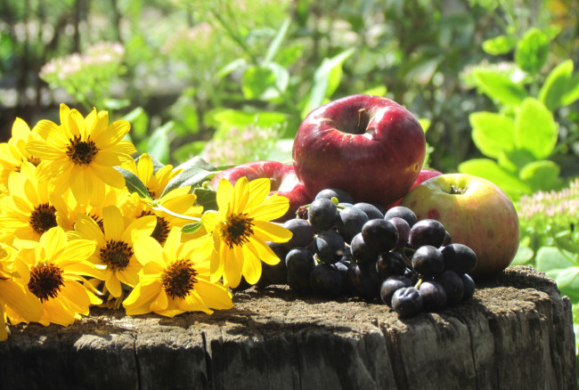 Обои картинки фото еда, фрукты,  ягоды, виноград, яблоки