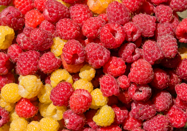 Обои картинки фото еда, малина, ягоды